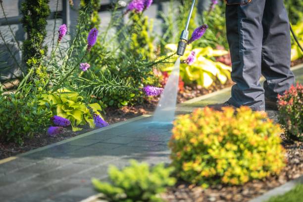 Best Patio and Deck Pressure Washing  in Keyser, WV